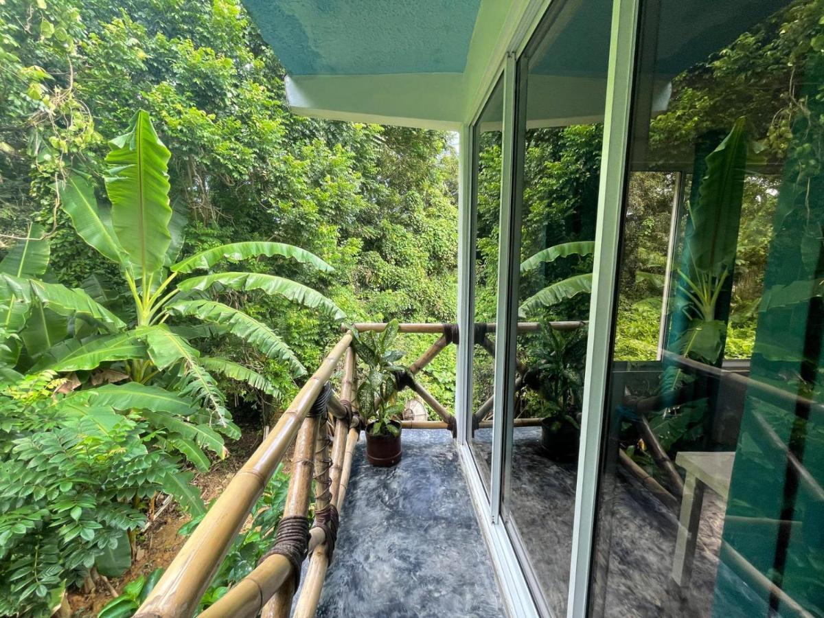 Salvaje Rooms&Restaurant Samana Exteriér fotografie