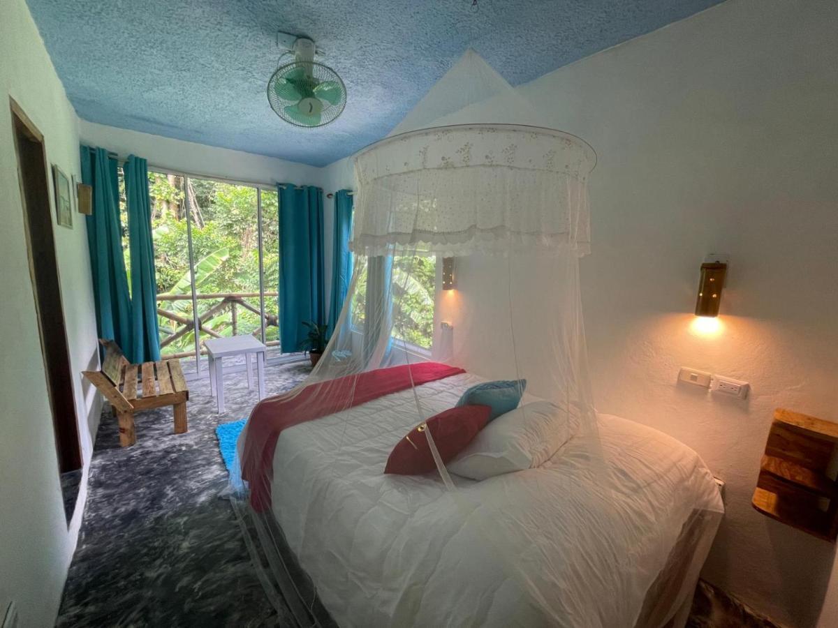 Salvaje Rooms&Restaurant Samana Exteriér fotografie